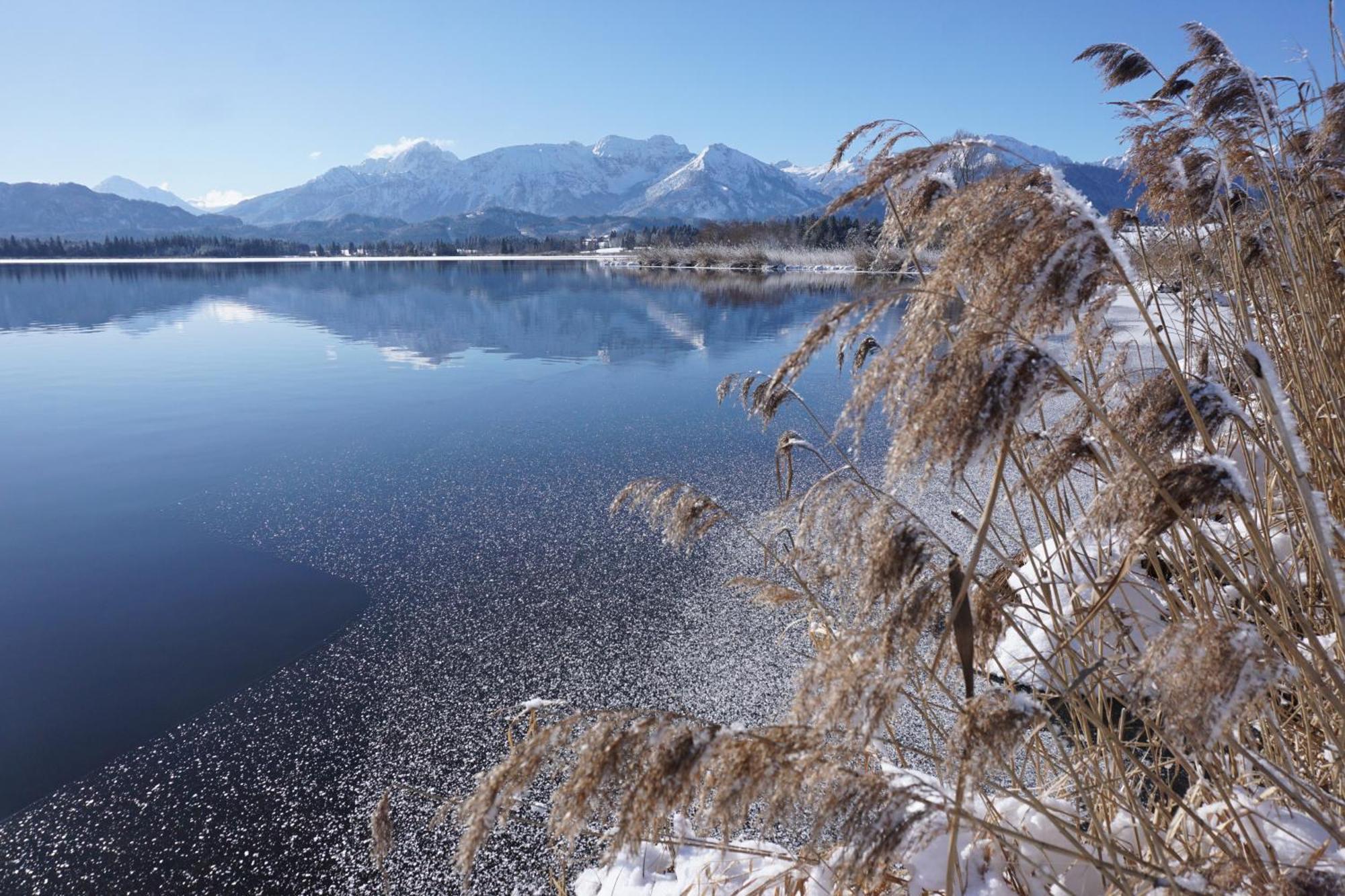 Residenz Sonnenhang I Füssen Εξωτερικό φωτογραφία